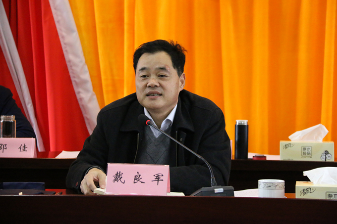 集團黨委委員、副總經(jīng)理、總工程師戴良軍發(fā)表講話